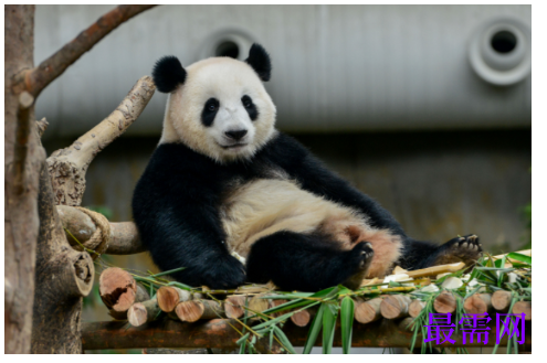 1764924285214082.png image.png