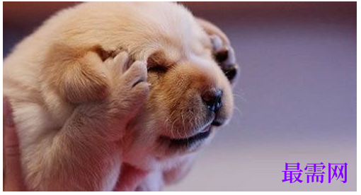 1777514446811668.png image.png