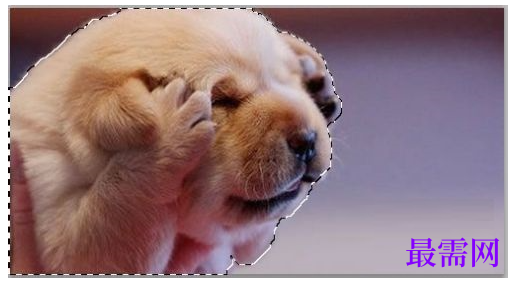 1777514732288339.png image.png