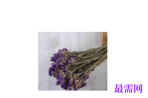 1777777462310306.png image.png