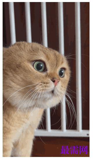 1778049835202997.png image.png